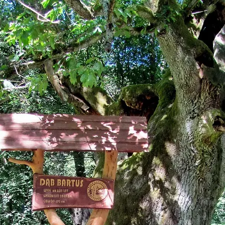 Osrodek Wypoczynkowy Soszko Swornegacie