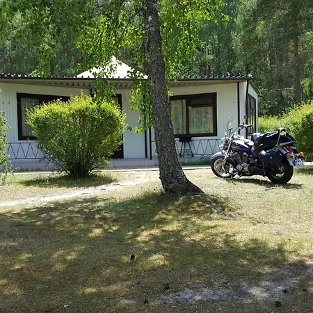 Soszko *