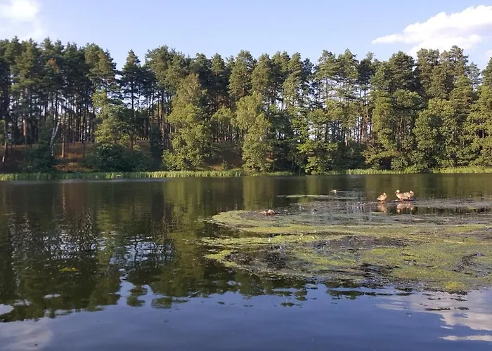 Hébergement de vacances Osrodek Wypoczynkowy Soszko *