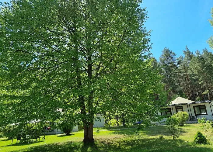 Osrodek Wypoczynkowy Soszko * Swornegacie