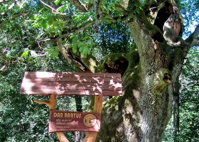 Osrodek Wypoczynkowy Soszko Swornegacie