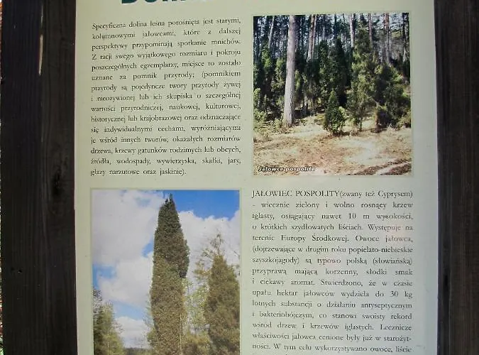 Osrodek Wypoczynkowy Soszko Hébergement de vacances *