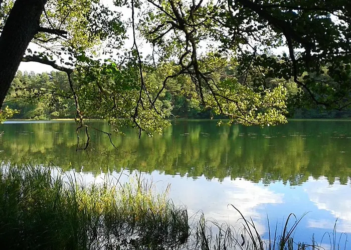 Osrodek Wypoczynkowy Soszko Swornegacie