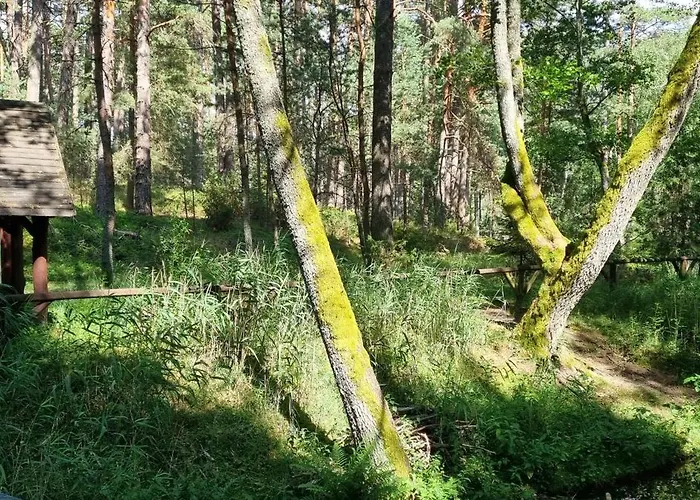 Osrodek Wypoczynkowy Soszko Hébergement de vacances