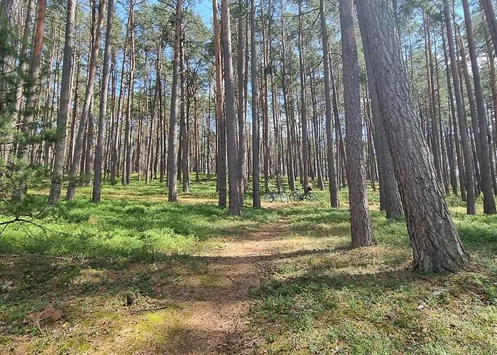 Hébergement de vacances Osrodek Wypoczynkowy Soszko